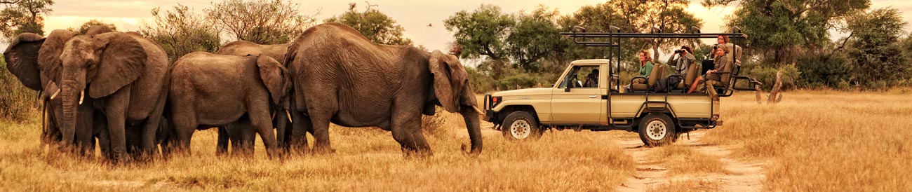 Zimbabwe - Victoria Falls is Zimbabwe's main draw card but there's great game viewing in Hwange National Park & along the Zambezi River.